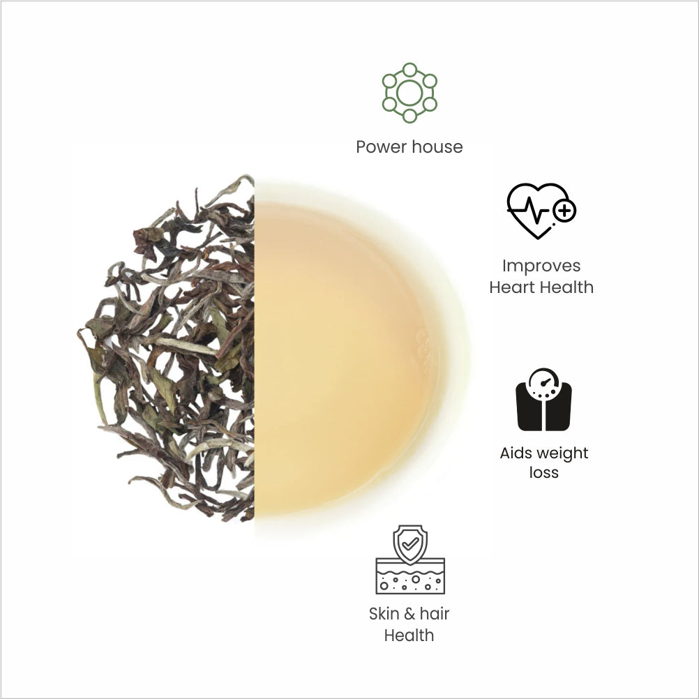 Silver Needles - (White Tea)